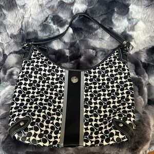 COACH F15136 Heritage Stripe Chelsea Hobo Shoulder Bag Project Bag